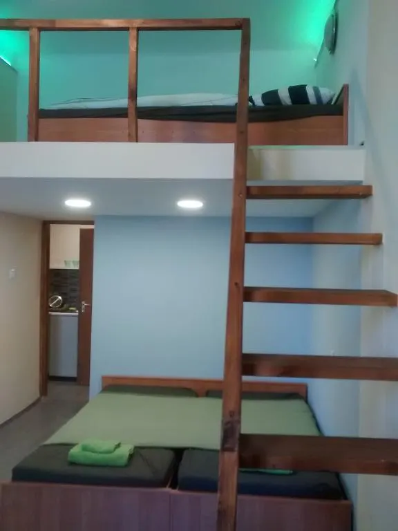 Green Panda Apartments Budapeşte